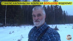 Зимняя охота на бобра с капканами. Установка капканов на бобра.