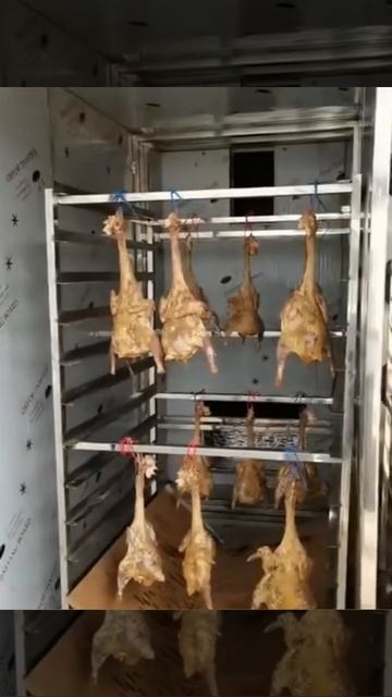 hello river brand dried chicken meat dryer heat pump meat dryer pet food heat pump dryer food dryer смотреть онлайн