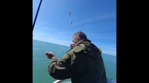 Рыбалка в Сочи на Черном море: удивительный улов ставрид, прекрасный вид на горы и теплый солнечный