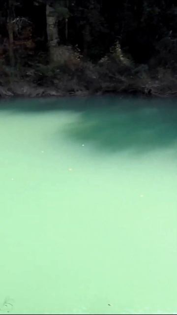 25. Чертовы ворота, крюк-кошка, пещера Заповедная, 1000-летний Тис. Природа. Сочи. #shorts смотреть онлайн