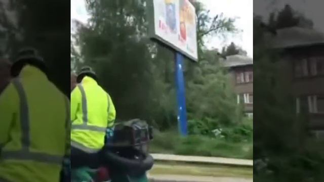 Медведя орестовали