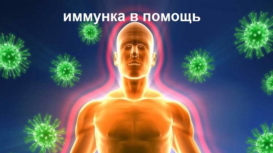 Иммунка в помощь