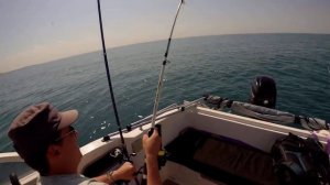 Трофейная рыбалка в Сочи, скат и лиса чуть удочку не сломали.