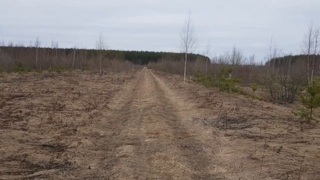 Сельское хозяйство в Ив.области и скрепы... смотреть онлайн