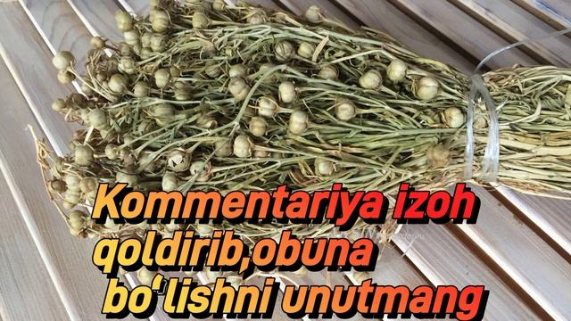 Исирик фойдаси_Isiriq Foydasi.