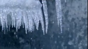 Выпускной вечер от ТСК АДЕЛЬ-Острова любви 2