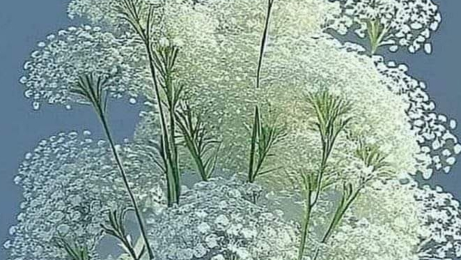 Русский черный терьер. чем кормить смотреть онлайн