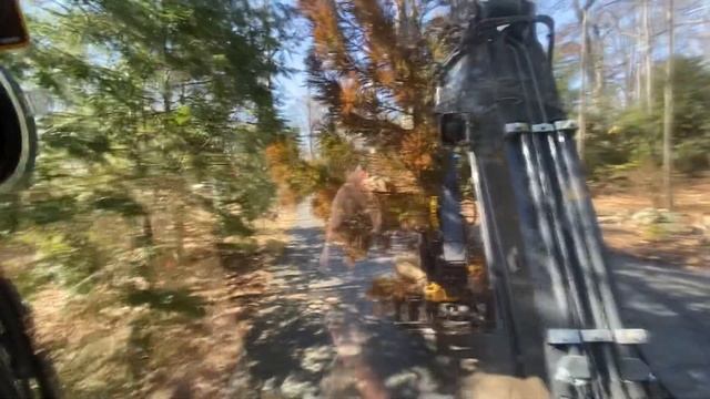 Cryptomeria install смотреть онлайн