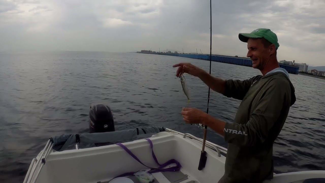 Гудвин и его волшебные ставки смотреть онлайн