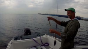 Гудвин и его волшебные ставки