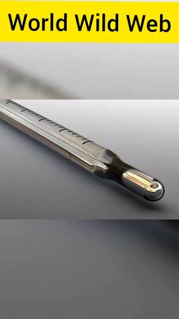 3 interesting facts about Amphibians.. смотреть онлайн