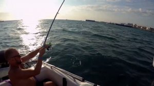 Большая рыба и большие сиськи