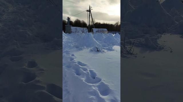 Как уберечь деревья от зайцев. Часть 2. смотреть онлайн