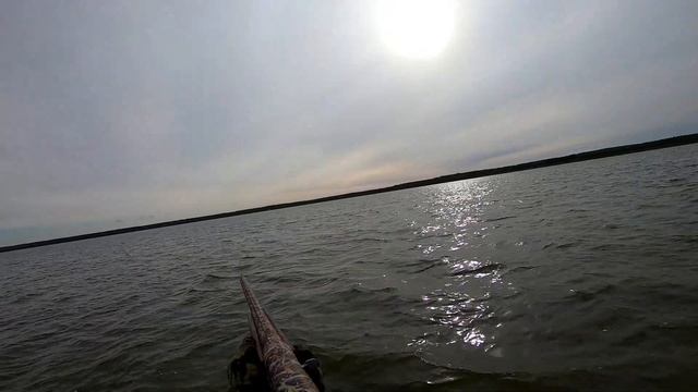 Добор подранка , охота на утку 2019 смотреть онлайн