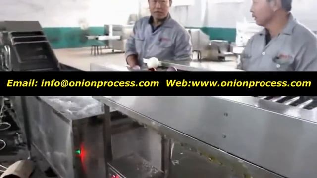 Сортировка лука, пилинг, корень, выбор и нарезка, машина для резки на продажу смотреть онлайн