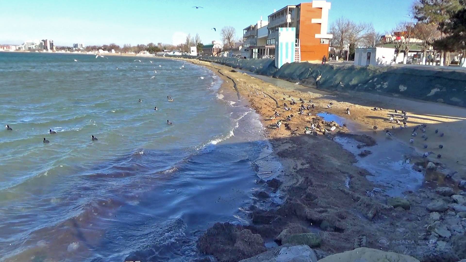 Анапа в феврале. Состояние моря на городских пляжах. Без комментариев смотреть онлайн