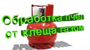 Профессор Кашковский про обработку пчёл от клеща газом