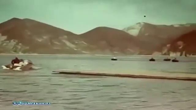 нохчи Шира эшар