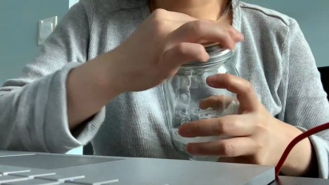 Growing Lemon Tree from Seeds (in Water) - 3 Weeks смотреть онлайн