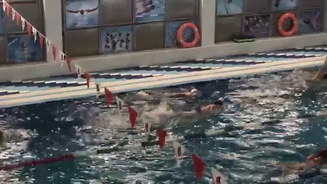 Ноябрь 2019. Кирилл - акула). смотреть онлайн