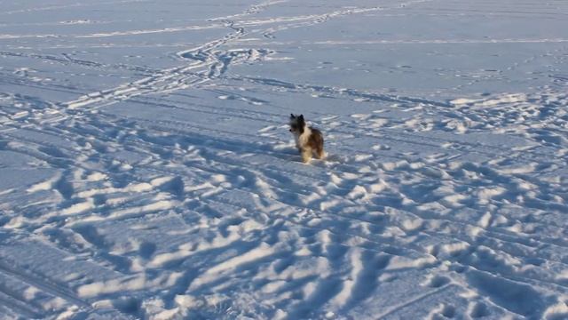 MVI 3357 смотреть онлайн