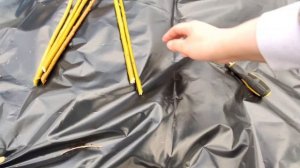 Посадка ивы АМЕРИКАНКА ГИГАНТСКАЯ| Рекомендации по посадке...