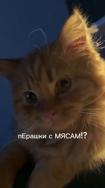 Покой нам только снится смотреть онлайн