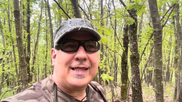 Primi Porcini in Liguria - Maggio смотреть онлайн