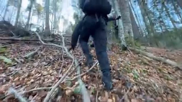 видео с полей. как сбежать с Украины через Румынию. смотреть онлайн
