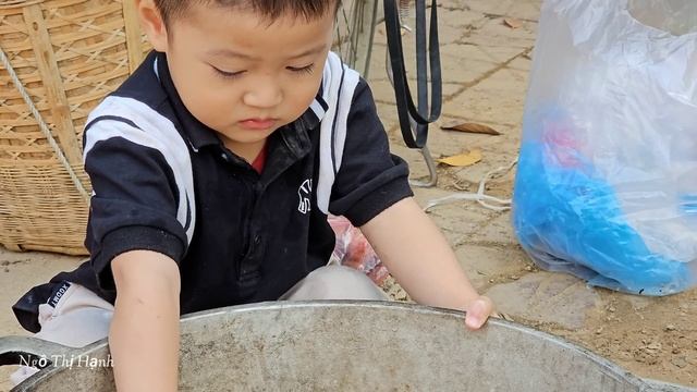 VIDEO FULL: 30 Days Harvesting Agricultural, Cucumber, Green Bean, Grapefruit Goes to market sell смотреть онлайн