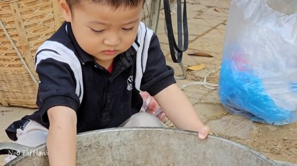 VIDEO FULL: 30 Days Harvesting Agricultural, Cucumber, Green Bean, Grapefruit Goes to market sell