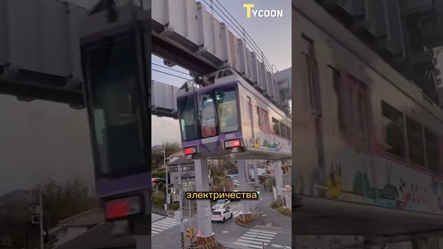 Япония. Japan.