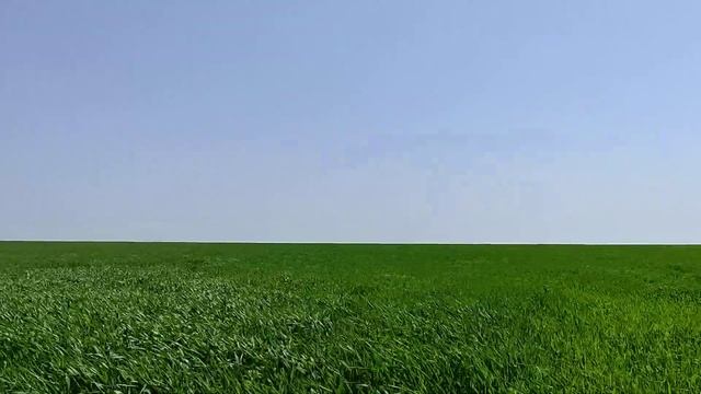 Озимка смотреть онлайн