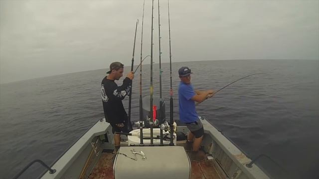 Yellowfin Tuna Fishing San Diego смотреть онлайн