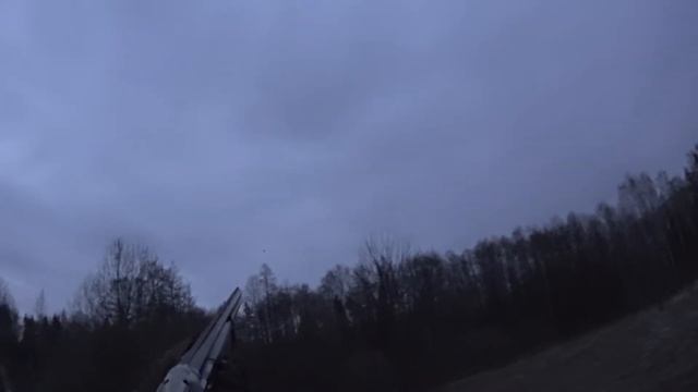 Охота на вальдшнепа на тяге, промахи смотреть онлайн