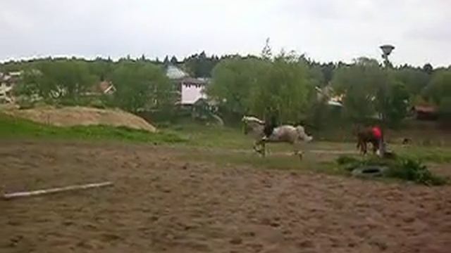 Битюк галопирующий смотреть онлайн