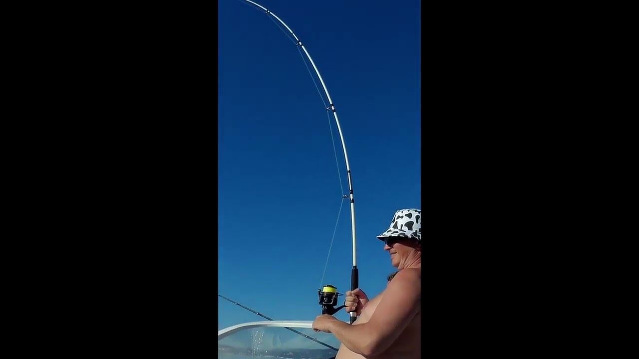 Трофейная рыбалка в Сочи, скат(хвостокол) и скат (морская лиса) смотреть онлайн