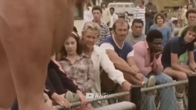 ARNOLD: ¿HÉROE O VILLANO? ❌El DOCUMENTAL Sin MENTIRAS смотреть онлайн