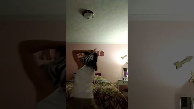 Sexy zebra смотреть онлайн