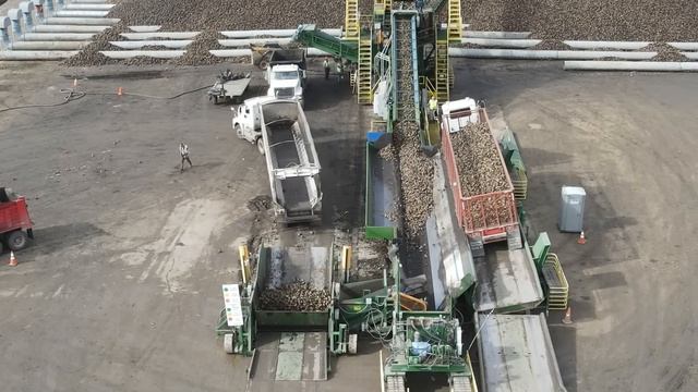 Уборка урожая | Место хранения сахарной свеклы смотреть онлайн