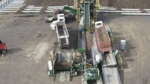 Уборка урожая | Место хранения сахарной свеклы