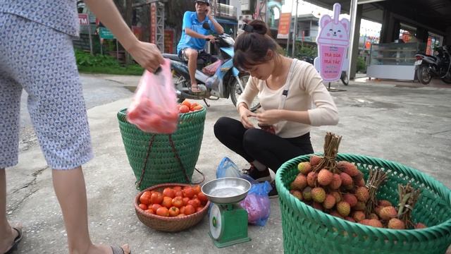 Dương Daily Life - Harvest At The Largest Tomato Garden In The Area - Go To The Market Sell
