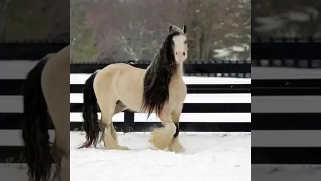 24 февраля 2018 г. смотреть онлайн