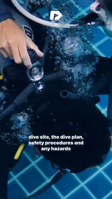 Scuba diving in Thailand with sharks 😍🎉 #shorts смотреть онлайн