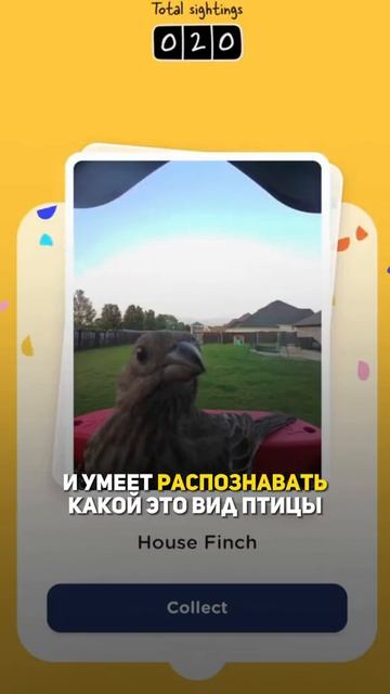 Класна Кормушка для ПТИЦ #историяуспеха #саморазвитие#обизнесе #бизнесидеи#успешныйбизнес #маркетин смотреть онлайн
