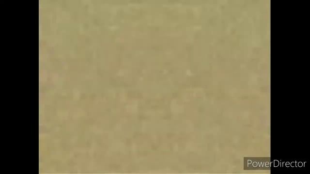 Klasky Csupo Effects (Sponsored by Preview 1982 Effects) In Mari Group смотреть онлайн