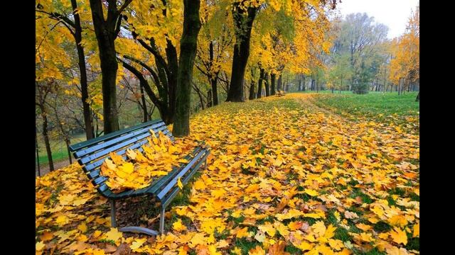 Осенний альманах (часть 3) смотреть онлайн