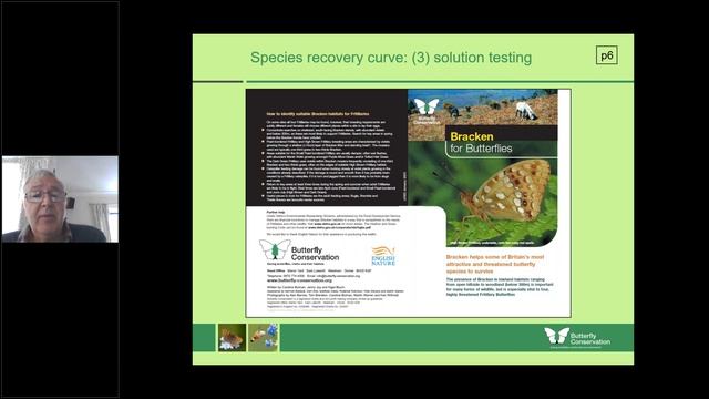 Butterfly identification and recording rare butterflies смотреть онлайн