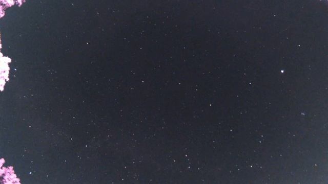 Perseid meteor shower - August 13, 2023 смотреть онлайн