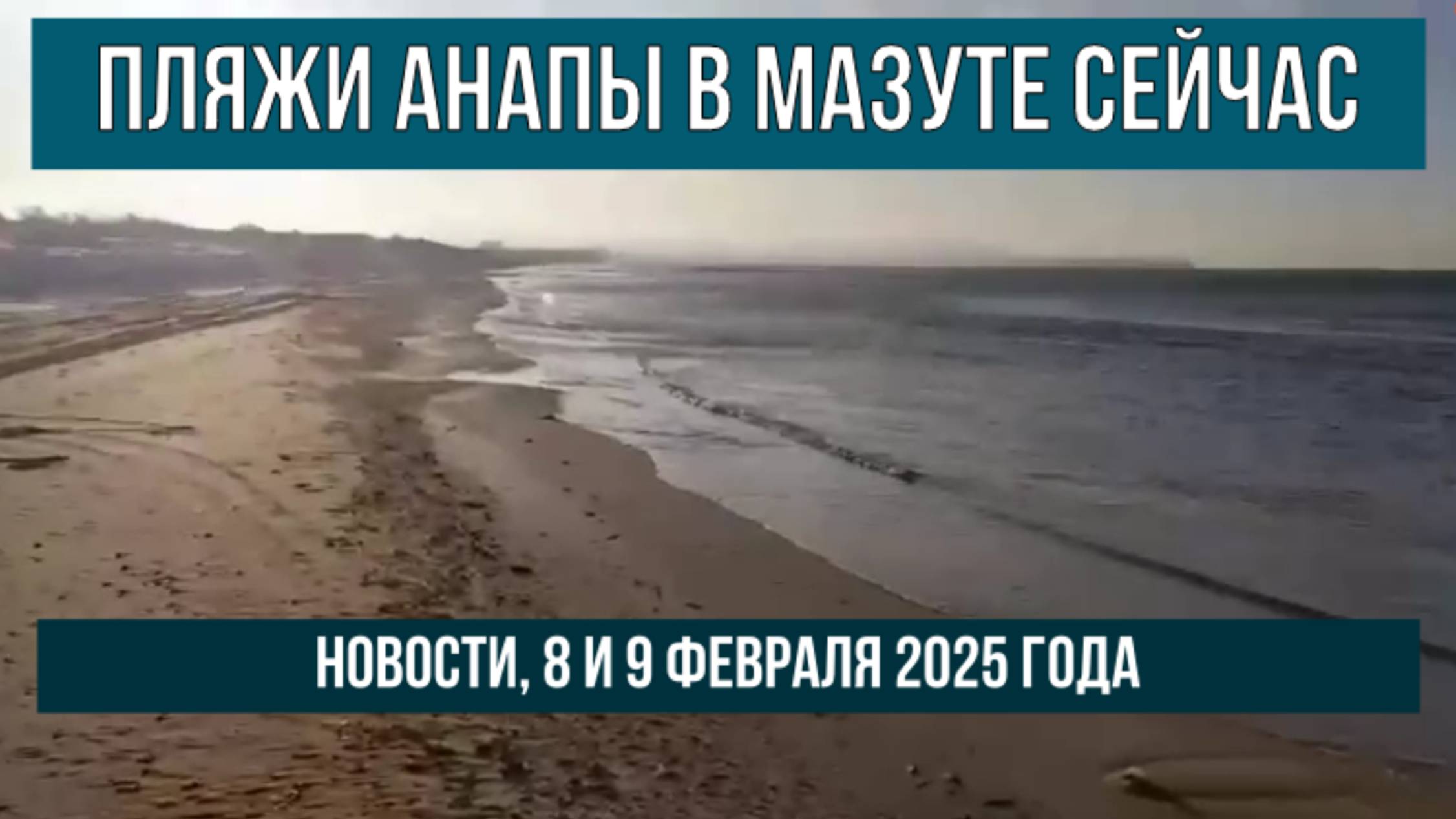 Пляжи Анапы в мазуте сейчас, 8 и 9 февраля 2025 года, новости, птицы смотреть онлайн